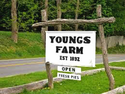Youngs Farm Brookeville LI NY
